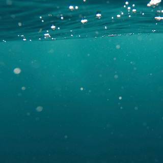 Underwater mobile wallpaper