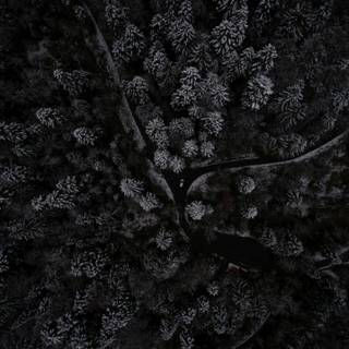 Dark black mobile wallpaper