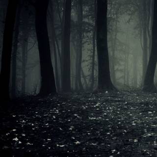 Dark black mobile wallpaper