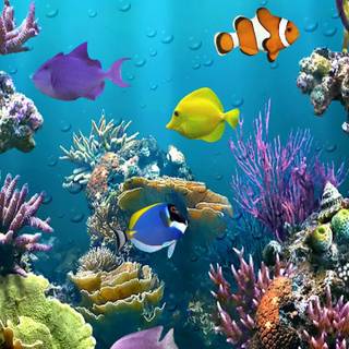 Underwater mobile wallpaper