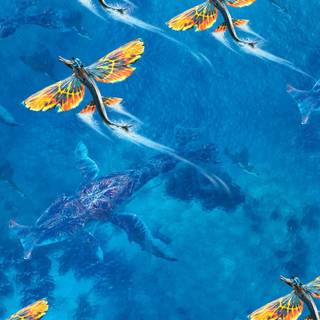 Underwater mobile wallpaper