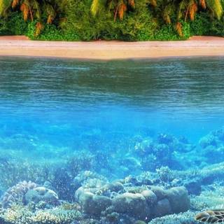 Underwater mobile wallpaper