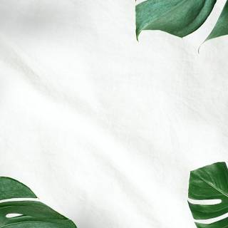 Leaves mobile wallpaper