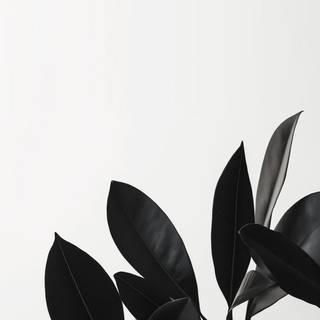 Leaves mobile wallpaper