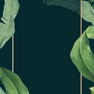 Leaves mobile wallpaper