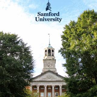 Library mobile wallpaper