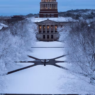 Library mobile wallpaper