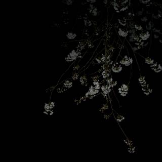 Dark japanese 4k wallpaper