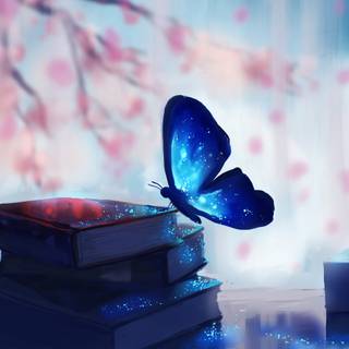 Butterfly PC 4k wallpaper