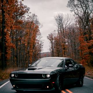 White Dodge Challenger wallpaper