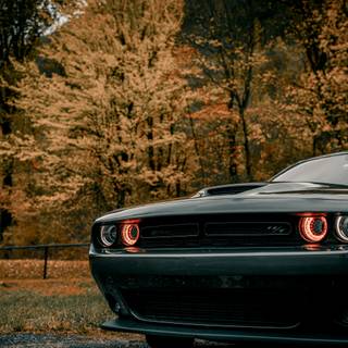 Dodge Challenger 4k desktop wallpaper