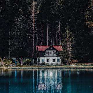 House in woods wallpaper