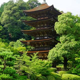 4k vertical Japan wallpaper