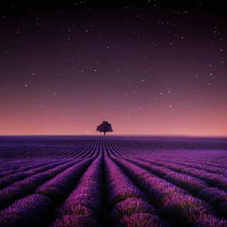 Stars 4k desktop wallpaper