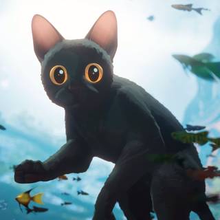 4k desktop movies wallpaper