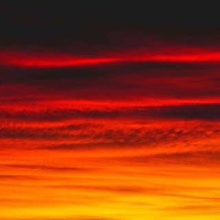 Yellow black iPhone wallpaper