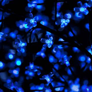 Neon blue phone wallpaper