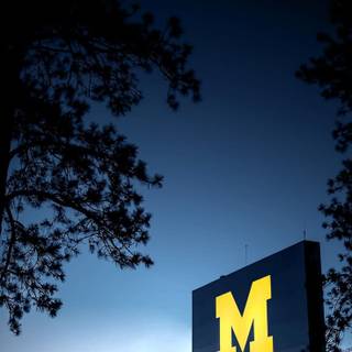 Michigan iPhone wallpaper