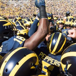 Michigan iPhone wallpaper