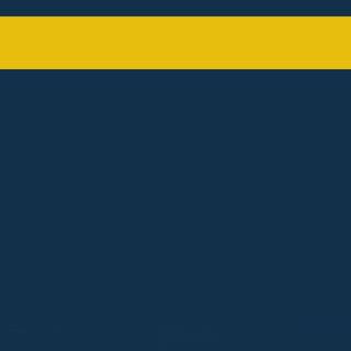 Michigan iPhone wallpaper