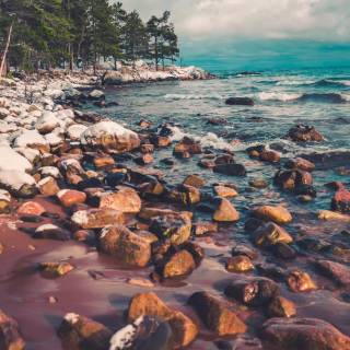 Michigan iPhone wallpaper