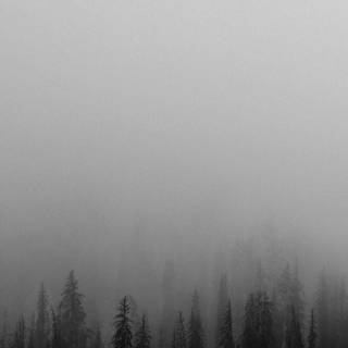 Monochrome iPhone wallpaper