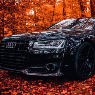 Phone Audi wallpaper