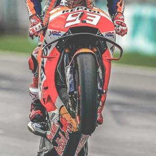 Marc Marquez phone wallpaper