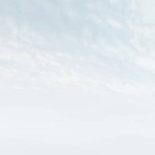 Simple winter iPhone wallpaper