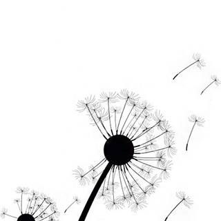 Dandelion iPhone wallpaper