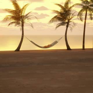 Desktop chill wallpaper