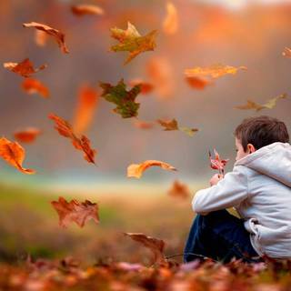 Sad boy desktop wallpaper