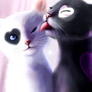 Anime cat desktop wallpaper