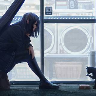 Anime cat desktop wallpaper