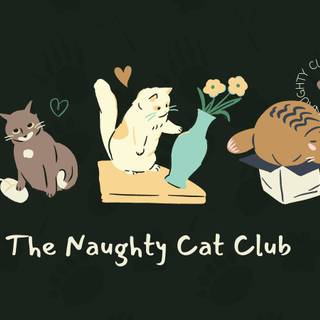 Anime cat desktop wallpaper