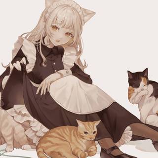 Anime cat desktop wallpaper