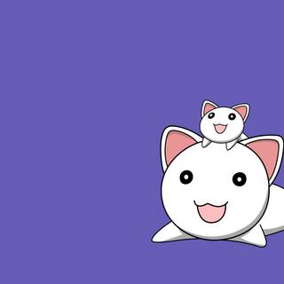 Anime cat desktop wallpaper