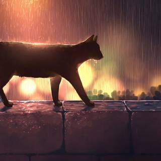 Anime cat desktop wallpaper