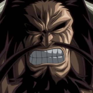 Kaido desktop wallpaper