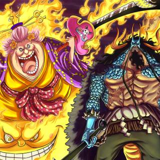 Kaido desktop wallpaper