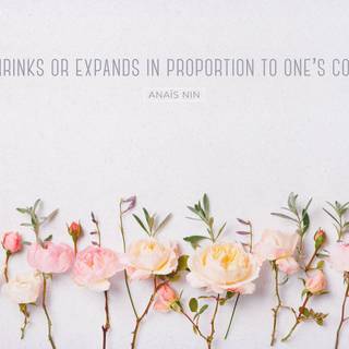 Positive quotes desktop wallpaper