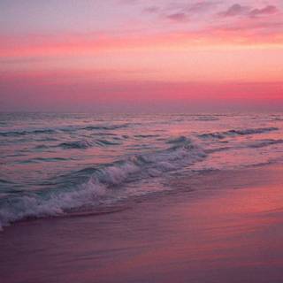 Pink beach desktop wallpaper