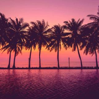 Pink beach desktop wallpaper