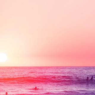Pink beach desktop wallpaper