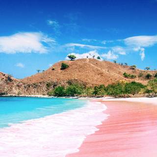 Pink beach desktop wallpaper