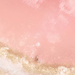 Pink beach desktop wallpaper