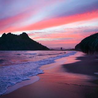 Pink beach desktop wallpaper