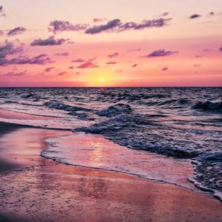 Pink beach desktop wallpaper