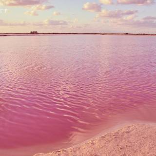 Pink beach desktop wallpaper