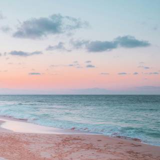 Pink beach desktop wallpaper